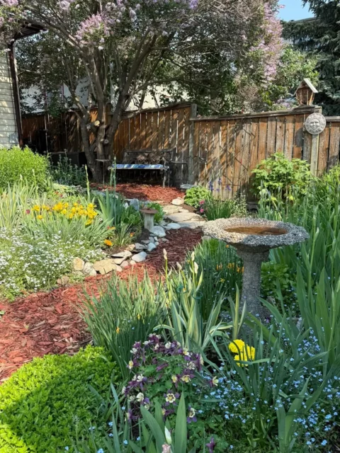 Backyard Permaculture Garden Path With Native Plant Species